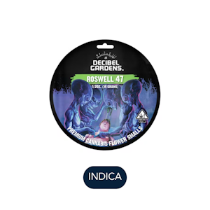 DECIBEL GARDENS - Decibel Garden - Roswell 47- Flower - 14.0g