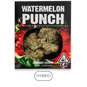 DECIBEL GARDENS - Decibel Gardens - Watermelon Punch - Flower - 3.5g