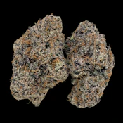 Trappers Delight -- Ounce