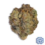 Detroit Muscle Flower | Quarter Special