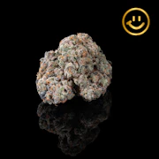 LOWD | Island octane | indoor flower