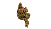 True Genetics | Diesel Truck | 3.5g