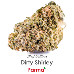 PRUF CULTIVAR - Pruf Cultivar Dirty Shirley