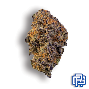 BH Farm - Disco Bird Flower