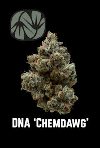 ALTERNATIVE SOLUTIONS - DNA 'Chemdawg' 14G - Half Oz by Alt Sol