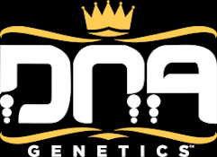 DNA Genetics - Seeds 10 ct. Non Feminized - Tangie
