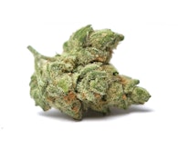 Daze Off | Super Silver Haze | Smalls | 14g