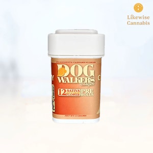 Likewise - 12pk 0.5g Full Flower Mini Pre-roll - Lemon Cane x Platinum GG