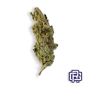 MIDNIGHT FRUIT COMPANY - Dogwalker Flower