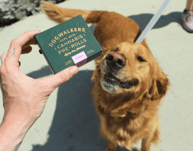 DOGWALKERS - [REC] Dogwalkers | Cherry Maui Wowie | 1.75g /5pk (Play)