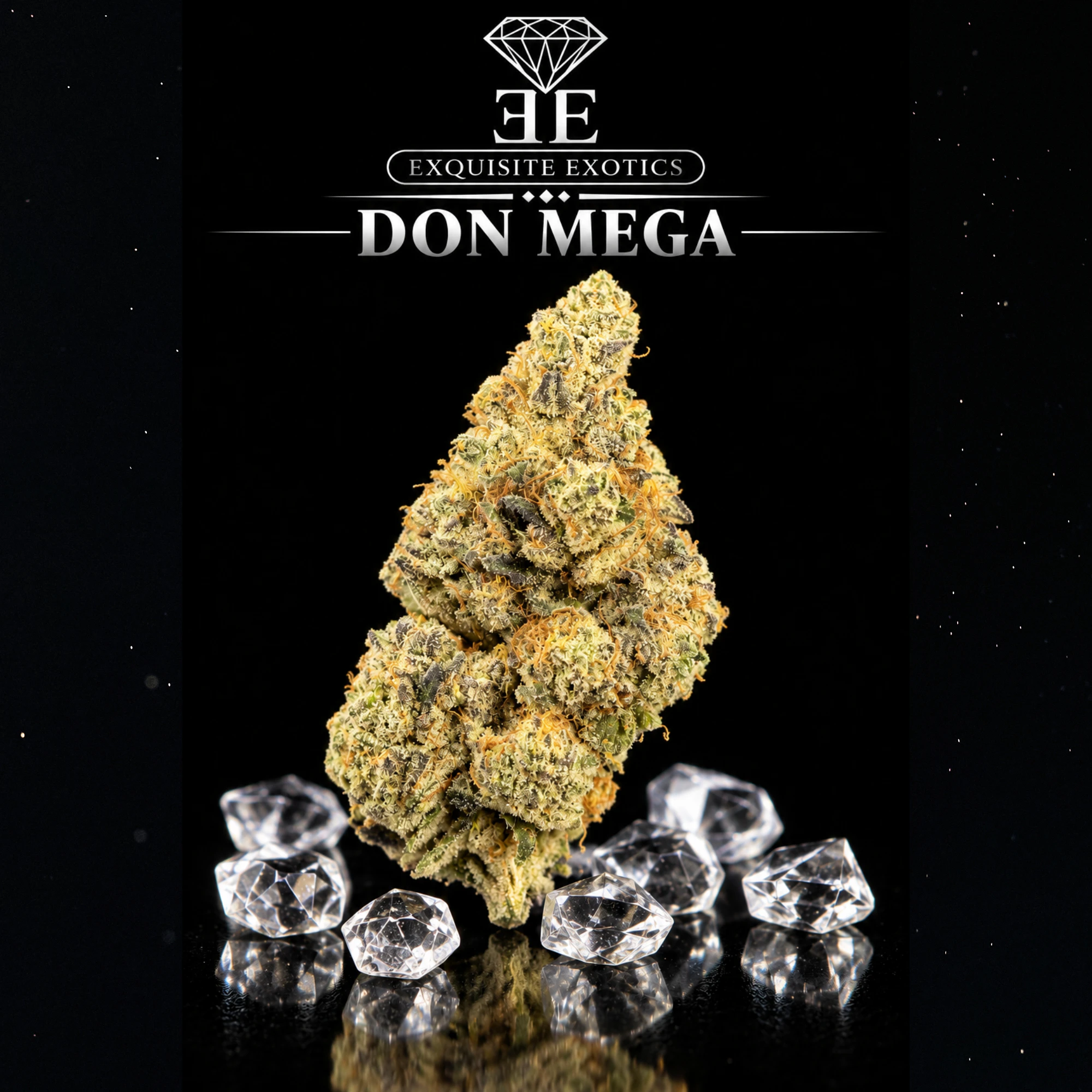 Exquisite Extractions - Don Mega | 3.5g Main Image