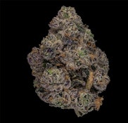 Jar Co | Double Solo Burger | 3.5g
