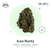 DPF - Icee Runtz