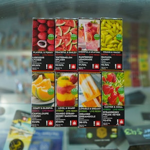 Enjoy - Watermelon Splash 1g Cart - Freshy