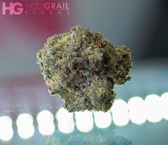 OREGON ROOTS - Mo'Bama - OR Roots