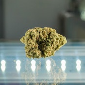 Apple Fritter - Grown Rogue