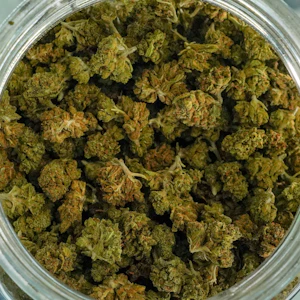 HGWS - Magic Melon (HGWS)