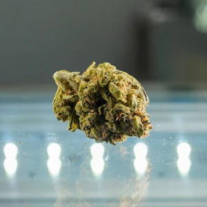 HGWS - The Baron (HGWS)