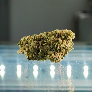 m3 - Jack's Gelato - M3