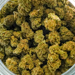 HGWS - Blueberry Muffin #4 (HGWS)