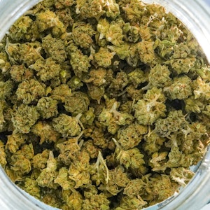 HGWS - Purple Punch (HGWS)