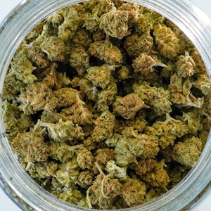 HGWS - Lemon Kush b-bud - HGWS