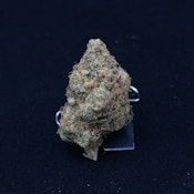 THC | White Girl