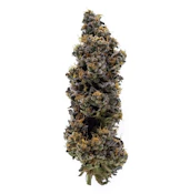 BLEM 3.5g Blue Dream Sativa