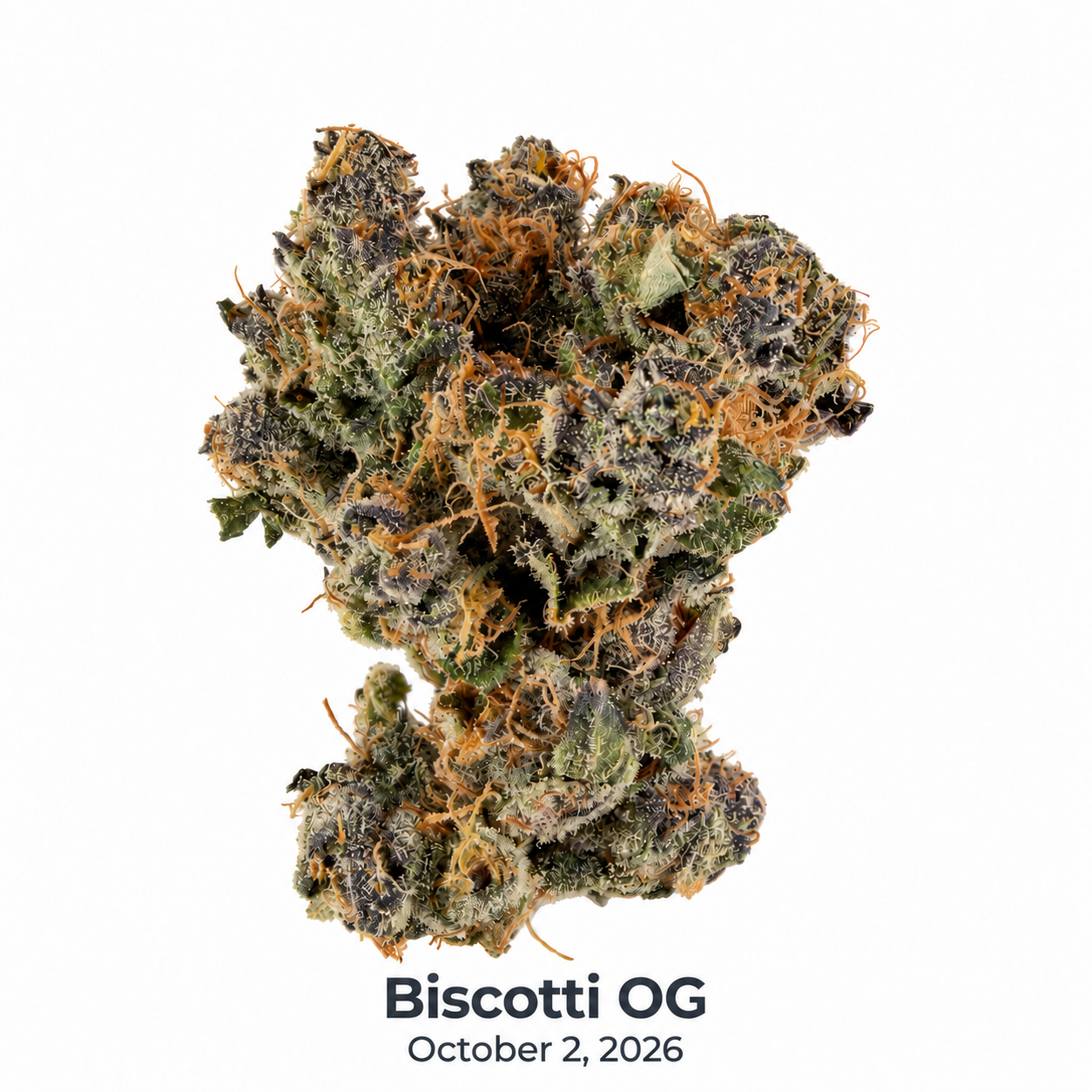 Biscotti OG flower