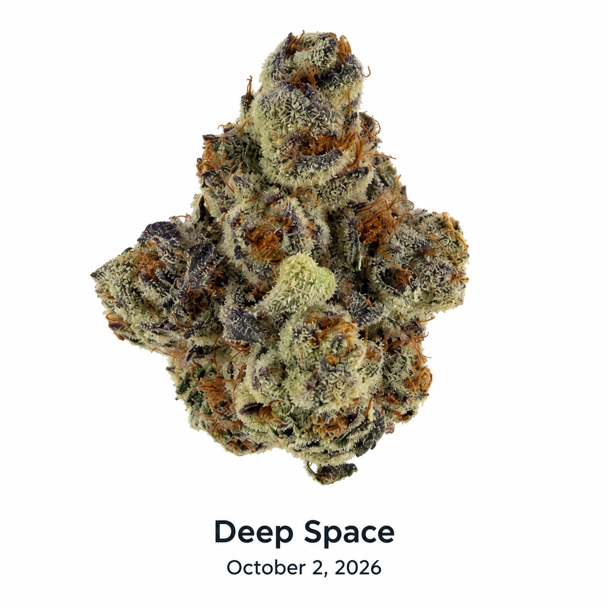 Deep Sky Deep Space