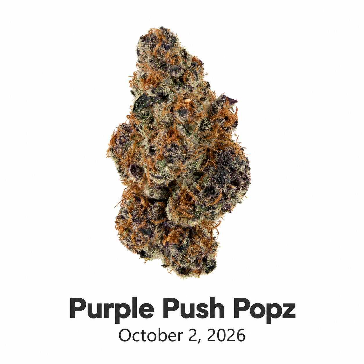 Deep Sky Purple Push Popz