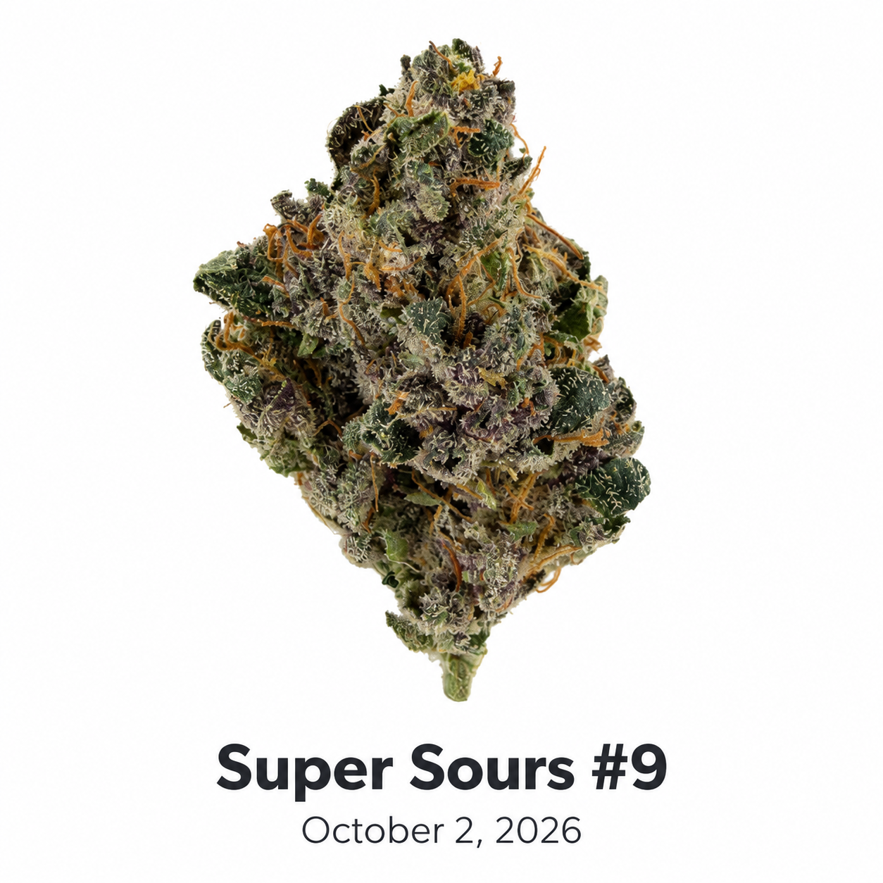 Deep Sky Super Sours #9