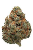 DURBAN POISON 1/4oz