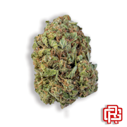 Durban Poison Flower