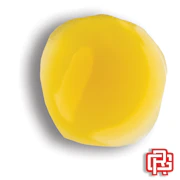 Dutch Treat Budder Extract | 1g (Live Resin)