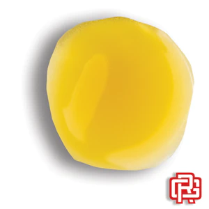 Echo Electuary - Dutch Treat Budder Extract | 1g (Live Resin)