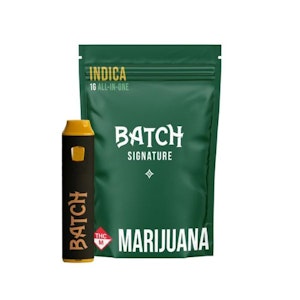 Batch - BATCH - DUTCH TREAT 1 GRAM VAPE