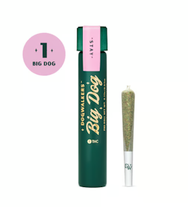 DOGWALKERS - Gas and Glue Pre-Roll - 0.75g