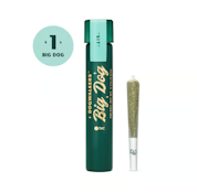 Graham Cracker Big Dog Pre-Roll - 0.75g