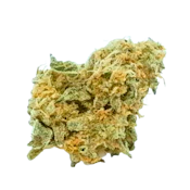 DZ Blue Dream | 3.5g