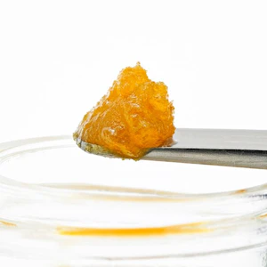 Buddies - Pineapple Burst - Live Resin Puck - Buddies - 1g