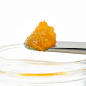 Sour Grapes (S) - Live Resin Puck - Buddies - 1g