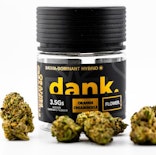 Dank - Orange Creamsickle - 3.5g Jar - Flower