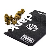 Dank - Halle Berry - 3.5g - Flower