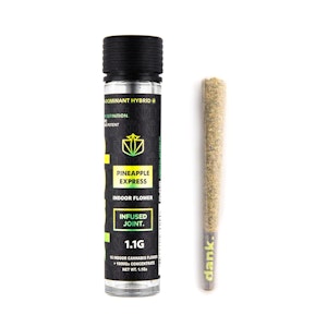 DANK BY DEFINITION - Pineapple Express 1.1g Infused Preroll | Dank