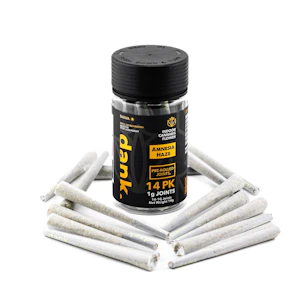 DANK BY DEFINITION - Dank | Preroll 14 Pack | Amnesia Haze | 14g