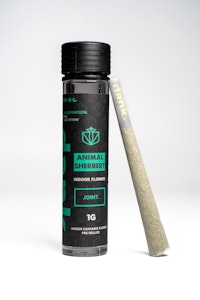 DANK - Dank | Animal Sherbert | Preroll | 1g