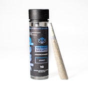 Dank |  Mendo Breath  | Preroll |1g