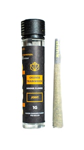 DANK BY DEFINITION - Orange Trainwreck | Dank | Preroll | 1g