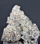 Dante's Inferno | Pre-roll | 1g